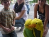 rene