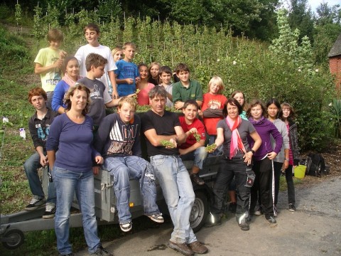 Weinlese 2011 OP (37)