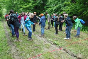 Wald macht Schule