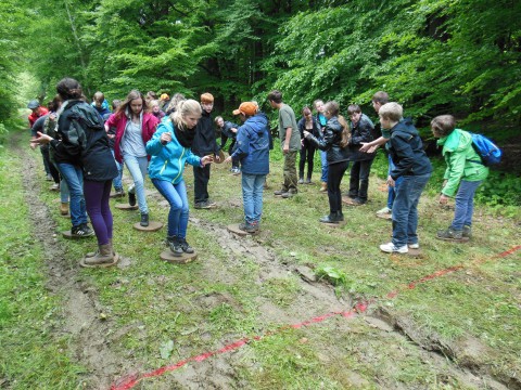 Wald macht Schule